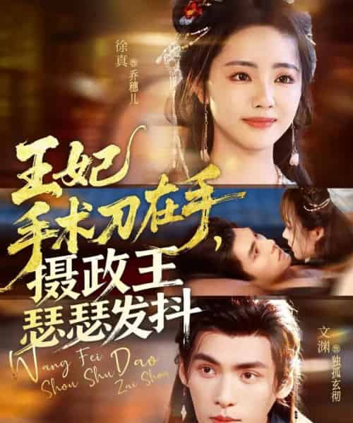 王妃手术刀在手，摄政王瑟瑟发抖（73集全）徐真＆文渊-紫橙资源网