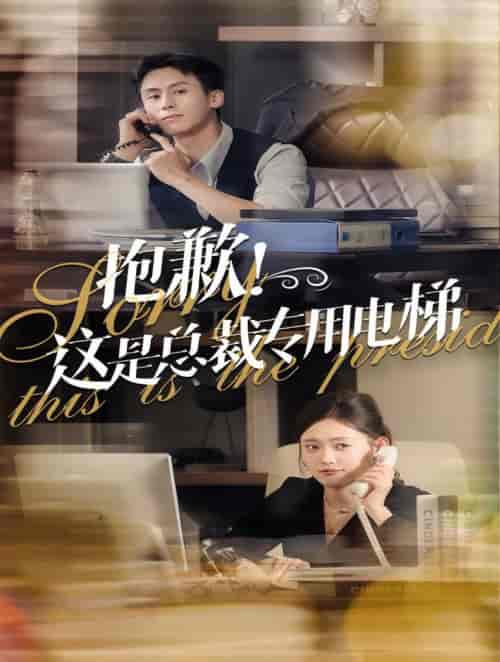 抱歉这是总裁专用电梯（60集全）王寒阳＆四一-紫橙资源网