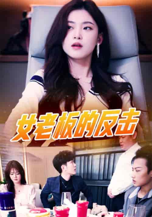 女老板的反击（100集全）黑龙＆张清-紫橙资源网