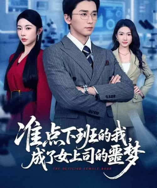 准点下班的我，成了女上司的噩梦（60集全）梅洋＆杨林涛（杨桃）-紫橙资源网