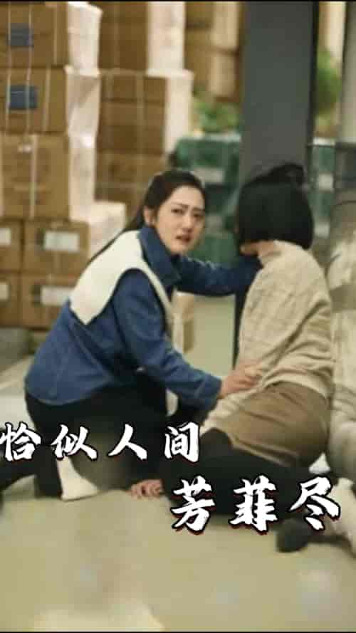 恰似人间芳菲尽(68集)-紫橙资源网