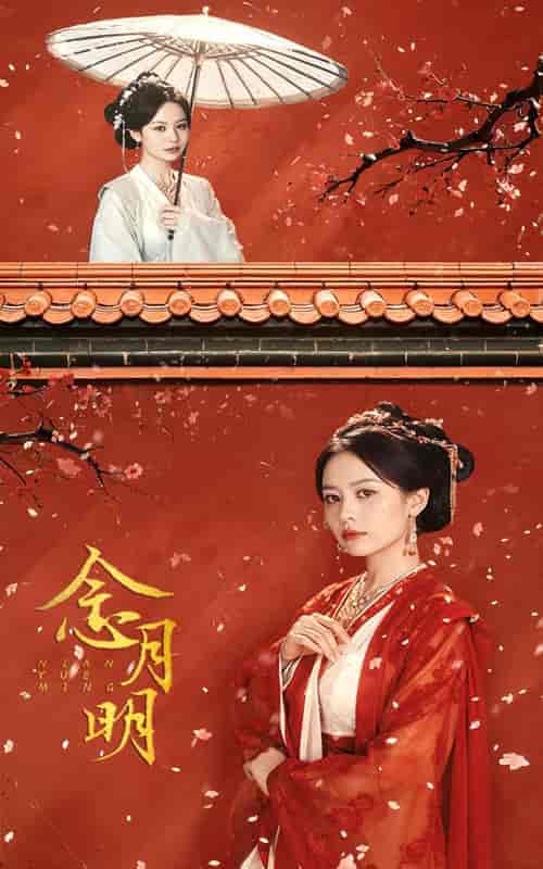 念月明（75集）-紫橙资源网