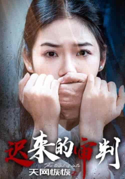 天网恢恢之迟来的审判（31集全）陈建军＆陈小娅-紫橙资源网