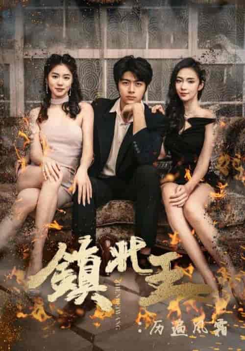 镇北王：历遍风霜（97集）宁缺＆沈雪-紫橙资源网