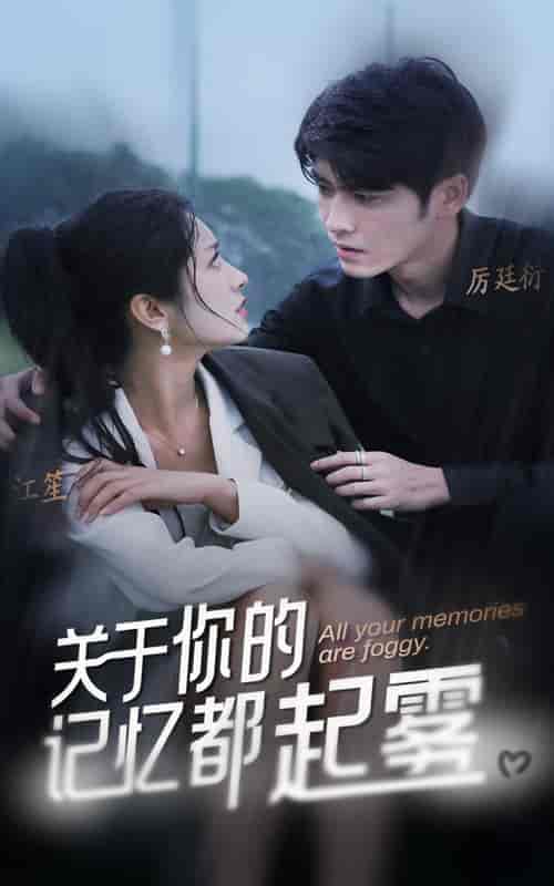 关于你的记忆都起雾（84集）-紫橙资源网