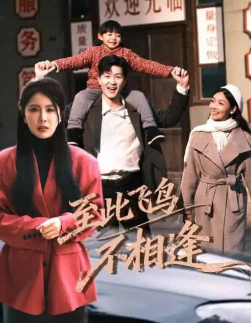 到此飞鸟不相逢（70集全）王鹏＆丁海霞-紫橙资源网