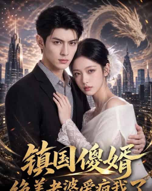 镇国傻婿:绝美老婆爱疯我了(100集全)AI-紫橙资源网