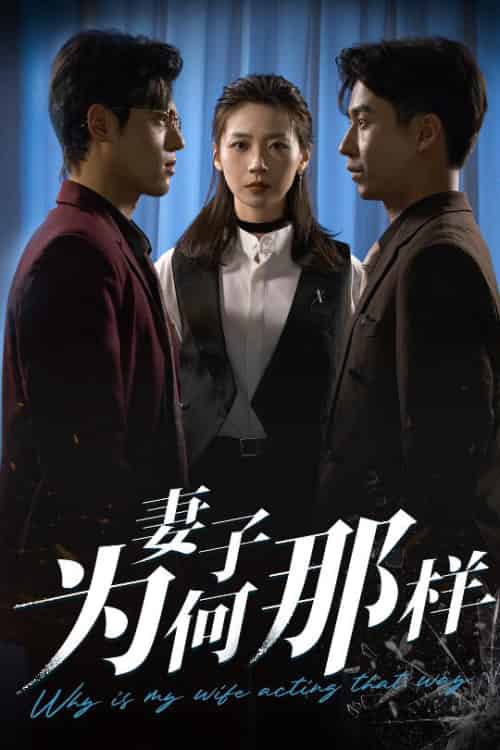 妻子为何那样（60集全）杜星瑶＆刘磊-紫橙资源网