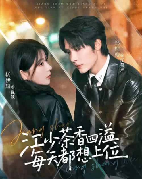 江少茶香四溢,每天都想上位(74集全)邹柯俊&杨伊墨-紫橙资源网