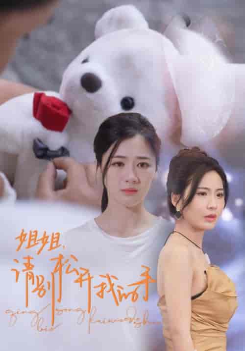 姐姐，请别松开我的手（69集）维尼-紫橙资源网