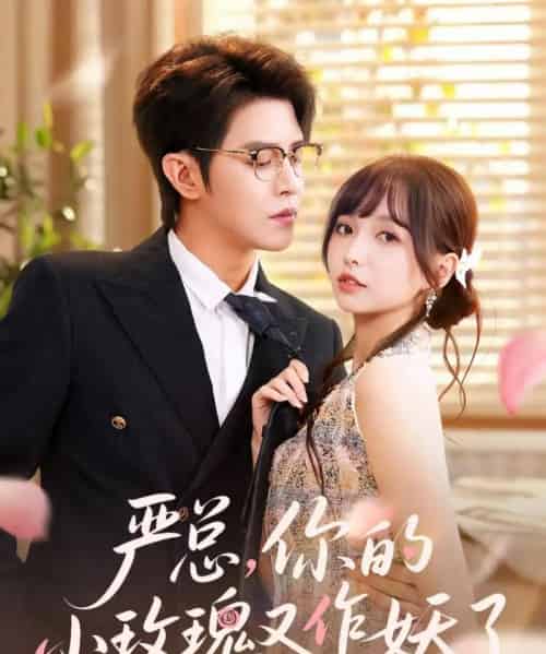 严总你的小玫瑰又作妖了（77集）王朝阳＆杨琳-紫橙资源网