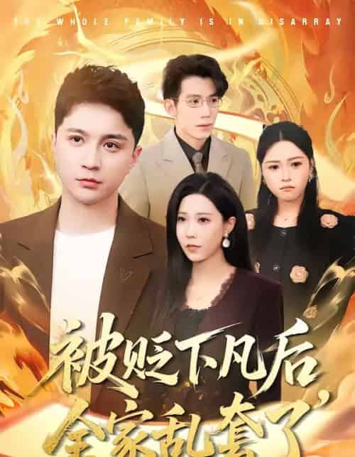 被贬下凡后全家乱套了（88集全）建泽正＆岳舒窃-紫橙资源网