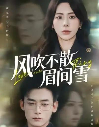 风吹不散眉间雪(77集全)秦萍&陈锦涵-紫橙资源网