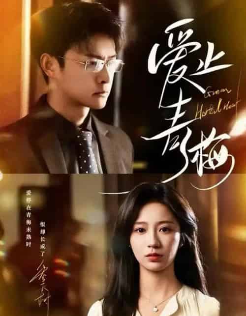 爱止青梅（60集全）杨欢＆何怡婷-紫橙资源网