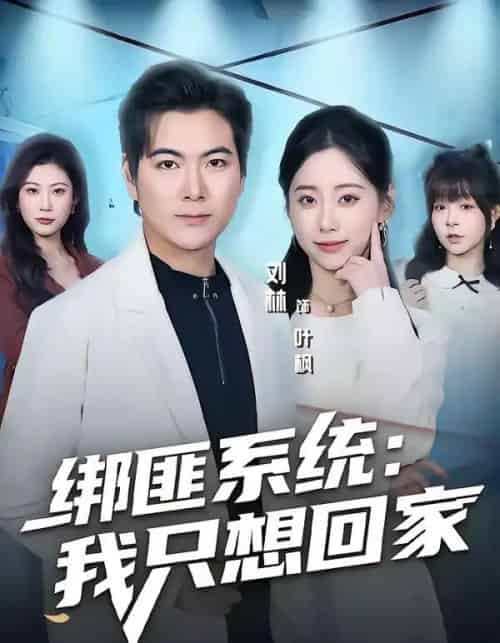 绑匪系统:我只想回家(84集全)刘林&顾嘉轩-紫橙资源网