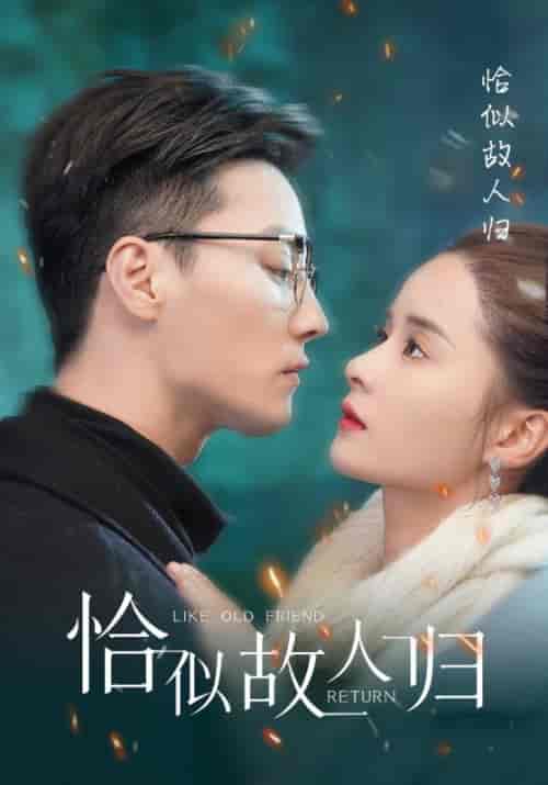 恰似故人归(89集)-紫橙资源网