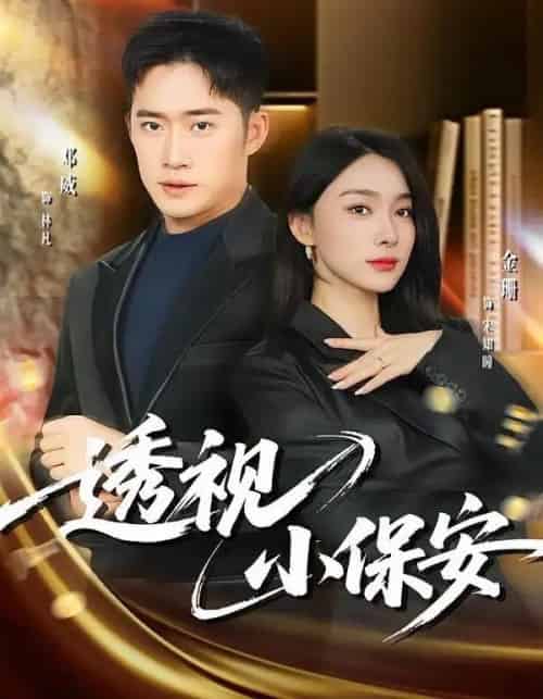 透视小保安（80集全）金珊＆邓威-紫橙资源网