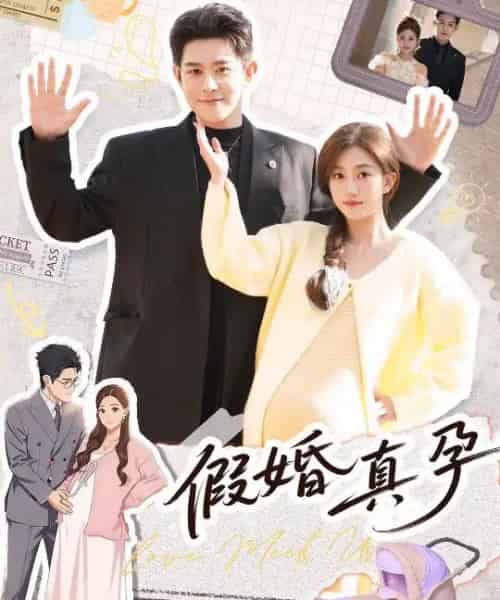 假婚真孕（70集全）-紫橙资源网