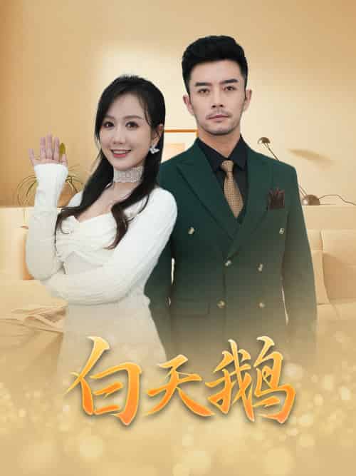 白天鹅 白天鹅