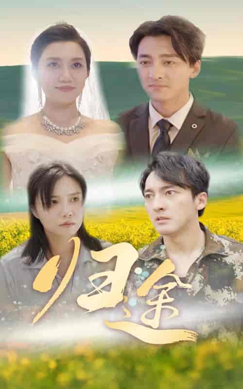 归途(52集)-紫橙资源网