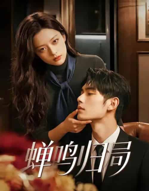 蝉鸣归局(48集全)-紫橙资源网
