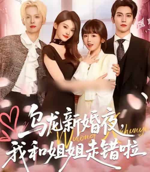 乌龙新婚夜，我和姐姐走错啦（59集全）马骁凡＆烨喵-紫橙资源网
