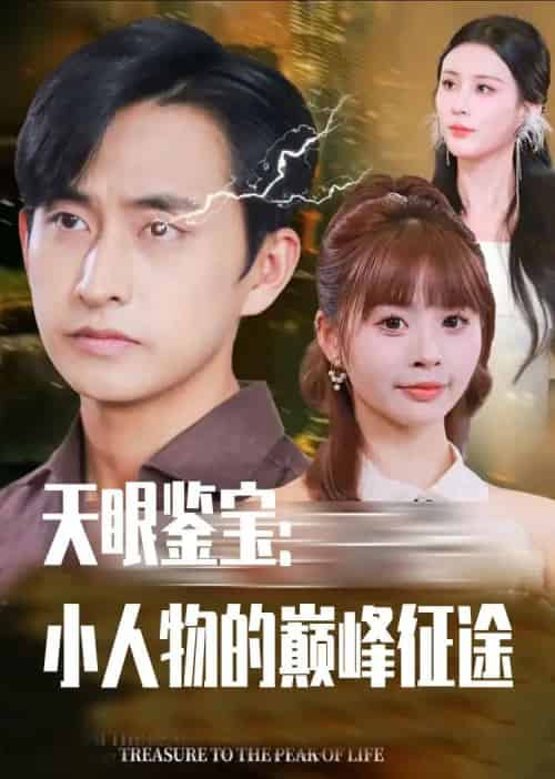 天眼鉴宝小人物的巅峰征途（80集全）潘家锜＆洪沛鸿-紫橙资源网