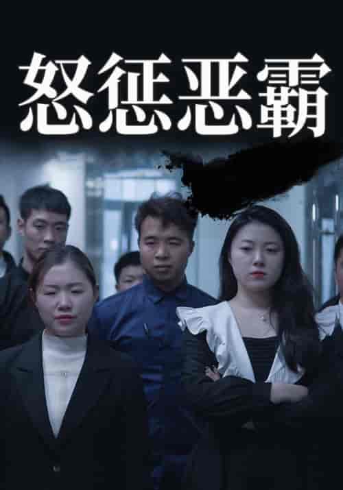 怒惩恶霸（58集全）文哥＆董事长-紫橙资源网