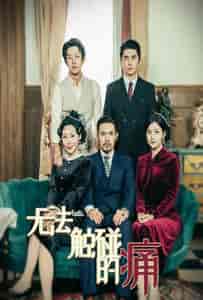 无法触碰的痛（80集）-紫橙资源网