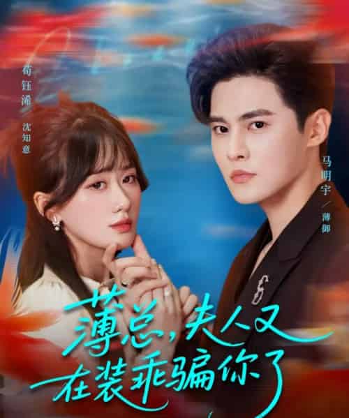 薄总，夫人又在装乖骗你了（80集全）马明宇＆苟钰浠-紫橙资源网