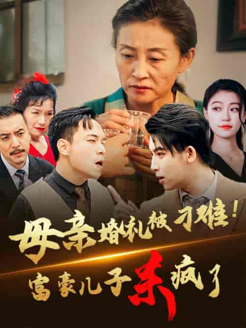 母亲婚礼被刁难首富儿子杀疯了（33集全）-紫橙资源网