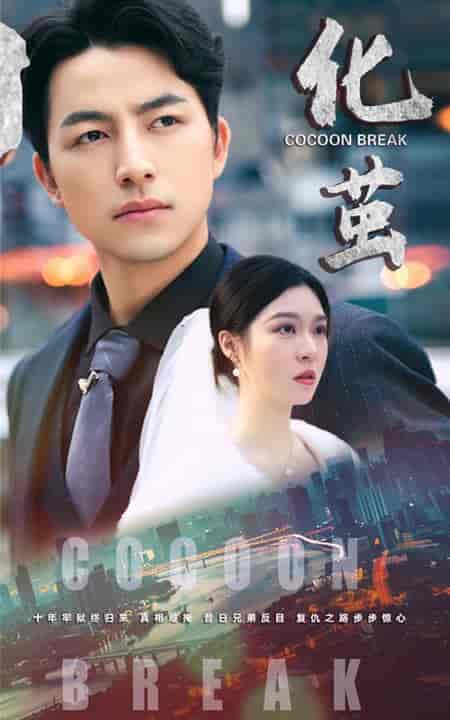 化茧（50集全）吴昊＆郑晨雨-紫橙资源网