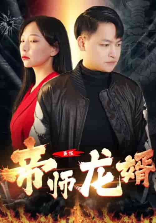 最强帝师龙婿(80集全)叶辰&宋晴雪-紫橙资源网