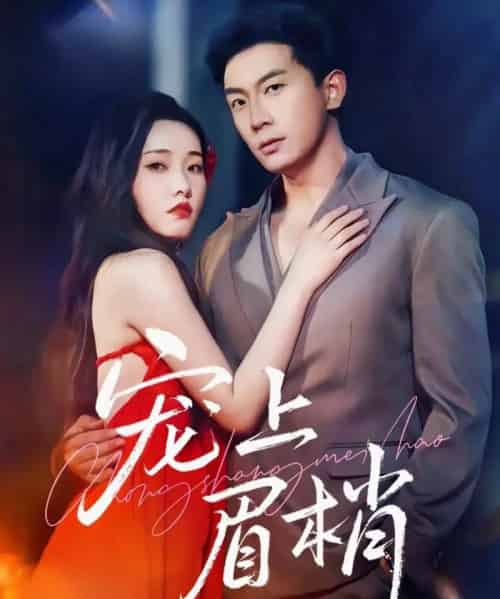 宠上眉梢（51集全）宋名申＆田睿思-紫橙资源网