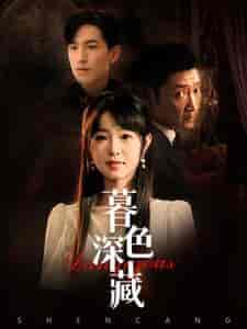 暮色深藏（37集全）-紫橙资源网