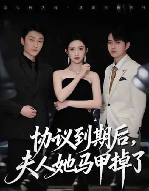 协议到期后,夫人她马甲掉了(53集全)张议丹&吕国聪-紫橙资源网