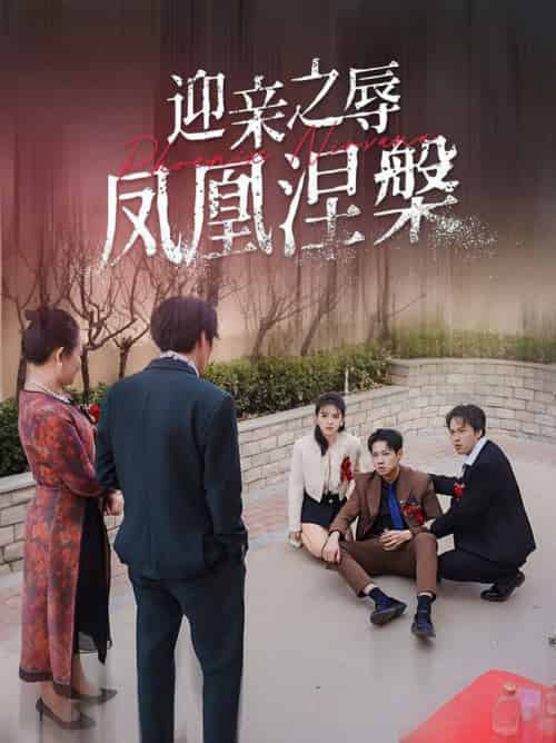 迎亲之辱凤凰涅槃（34集全）-紫橙资源网