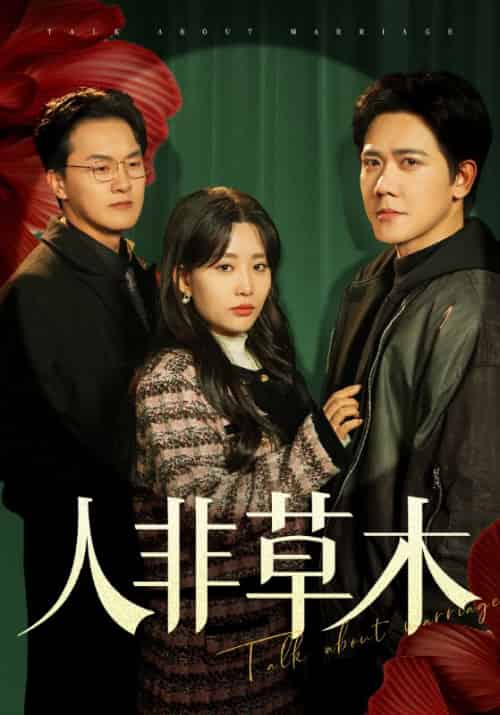 人非草木（42集全）陈锋＆沈笙笙-紫橙资源网