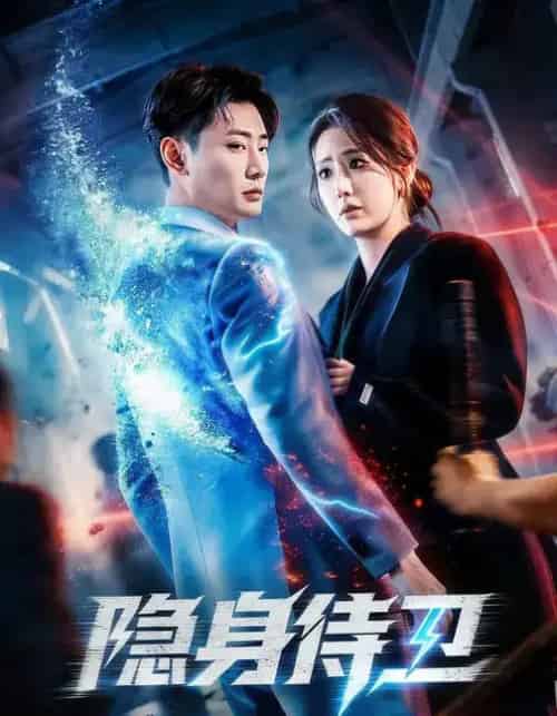 隐身侍卫(80集全)宣嘉橙&金鑫欣-紫橙资源网