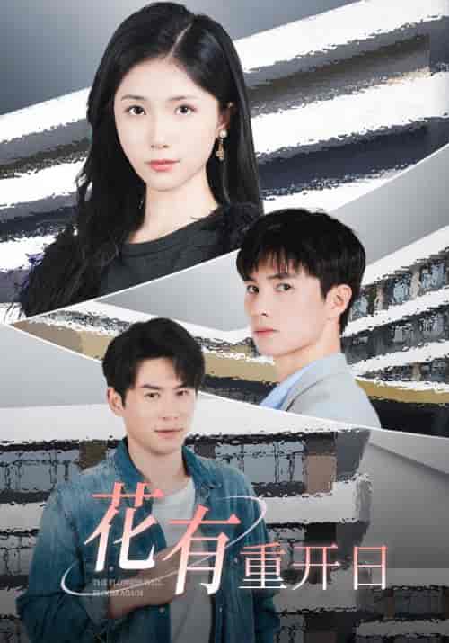 花有重开日（41集全）张继＆徐慧琳-紫橙资源网