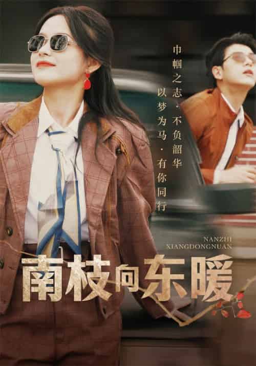 南枝向东暖（78集全）陆向东＆宋南枝-紫橙资源网