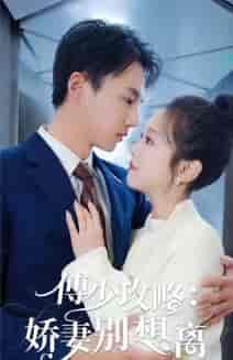 傅少攻略：娇妻别想离（80集）-紫橙资源网