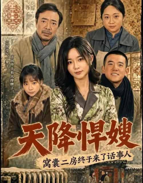 天降悍嫂,窝囊二房终于来了话事人(64集全)吴鑫&彭凯-紫橙资源网