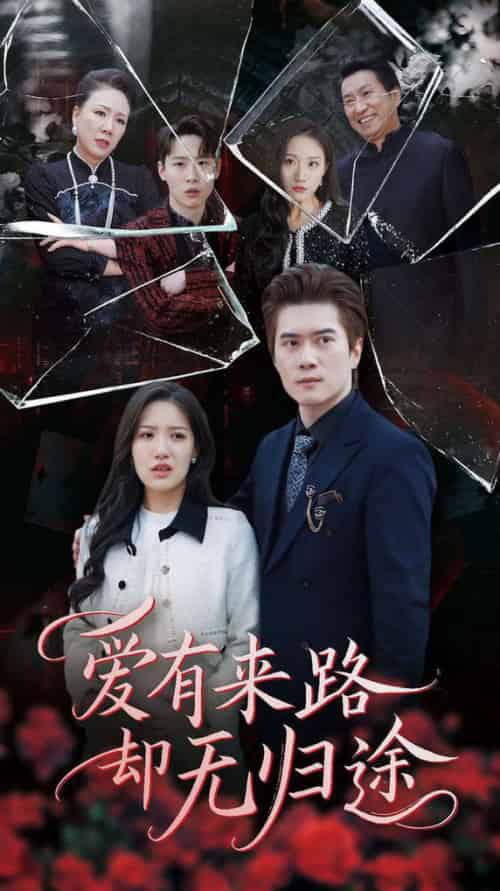 爱有来路却无归途（40集全）-紫橙资源网