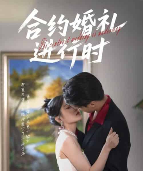合约婚礼进行时（30集）刘灵灿-紫橙资源网
