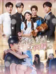 恰似繁星闪耀(74集全)-紫橙资源网