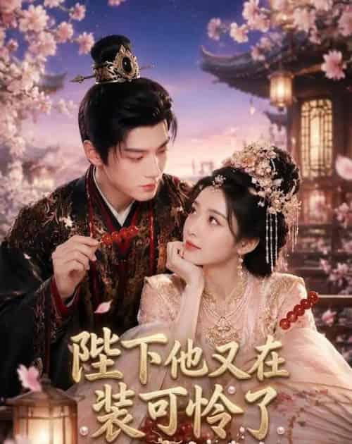 陛下他又在装可怜了（80集全）AI-紫橙资源网