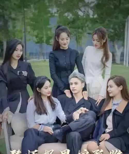 雪尽逢青山&替师报恩护孤雌&下山后我被美女包围了(97集)-紫橙资源网