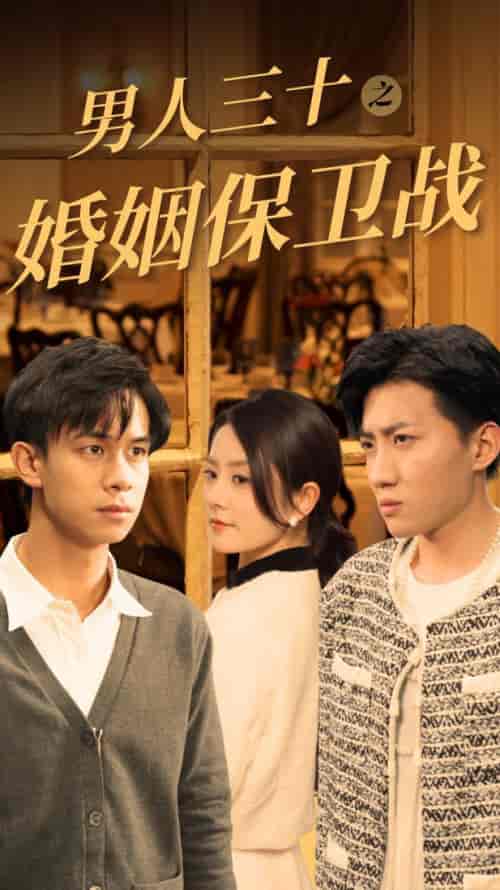 男人三十之婚姻保卫战（31集全）-紫橙资源网