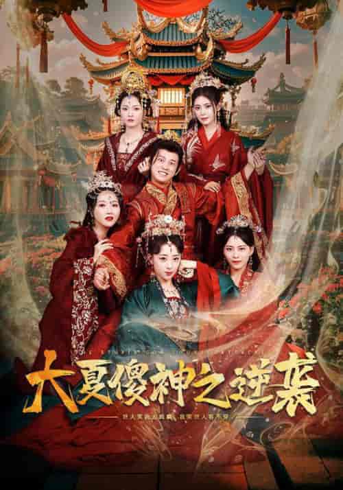 大夏傻神之逆袭(65集全)胡冬晴-紫橙资源网